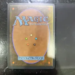 Mystic Remora, Ice Age, Common, NM. Magic The Gathering - Image 2