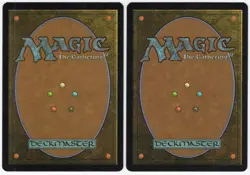 Mystic Enforcer x2 2x 2006 Time Spiral Multi-Color Special Creature MTG NM AZ1 - Image 2