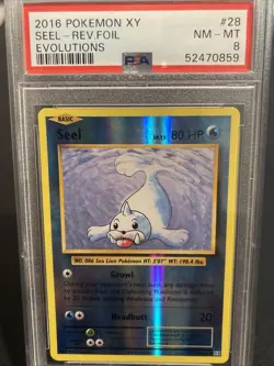 2016 Pokemon XY SEEL REV.FOIL Evolutions PSA 8 NM-MT #28 Reverse Holo - Image 1