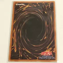 10 CARD Yu-Gi-Oh WJMP-JP012 Dark Magician Ultra + Dark Paladin Japanese 2008 - Image 2