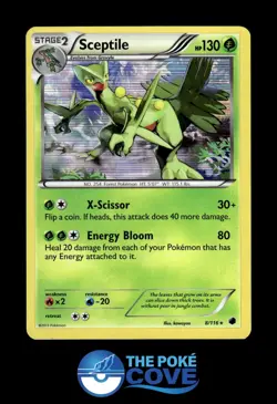 Sceptile 8/116 | Plasma Freeze Holo | Pokemon Rare Holo | LP - Image 1