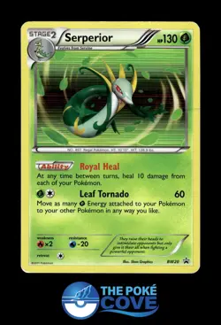 Serperior - BW20 BW20 | Black And White Promo Holo | Pokemon Promo Holo | DMG - Image 1