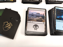 Magic: The Gathering 214-Card Lot – Foil, Japanese Land, Commons & Uncommons - Image 4