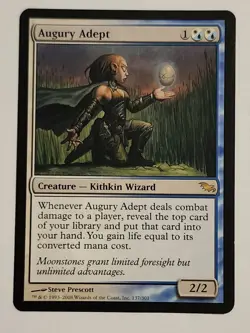 MTG Augury Adept - Shadowmoor Regular - NM Magic The Gathering - Image 1