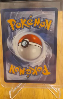 Pokemon Squirtle MEP 039 First Partner Illustration Rare Promo 30th Anniversary - Image 2