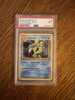 Pokemon Gyarados Holo Rare 34/108 Evolutions PSA 9 2016 English - Image 1