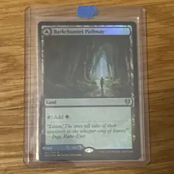 MTG - Barkchannel Pathway - Foil - Kaldheim - MINT - Exact Card Pictured - Image 1