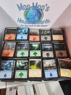 4000 Basic Lands - Image 1