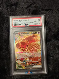 PSA 10 GEM MINT Dachsbun Ex #169 Pokemon TCG Scr En-Stellar Crown - Image 1