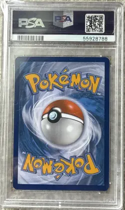 Pokemon PSA9 Magikarp Holo Promo 2016 XY143 Shiny M Gyarados English - Image 2