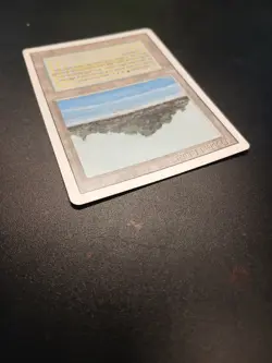 Tropical Island MTG Revised Edition NM-LP - Image 4