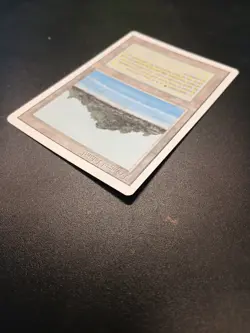 Tropical Island MTG Revised Edition NM-LP - Image 5