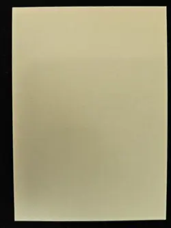 Japanese Raichu 012 Bandai Vintage Sticker Pokemon Trading Card Game 2004 LP - Image 2