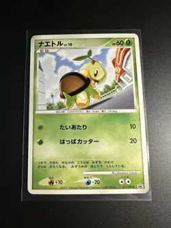Turtwig 017/DP-P World Hobby Fair Trade Please Promo Japanese Pokemon Card NM - Image 1