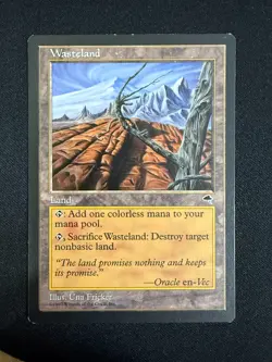 Wasteland - Tempest (Magic Gathering) - Image 1
