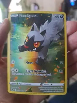 Pokemon TCG Poochyena Crown Zenith Galarian Gallery GG33/GG70 Holo Rare FRESH - Image 1