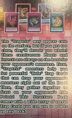 Yu-Gi-Oh! TCG - Structure Deck: Beware of Traptrix 1st Edition Brand NEW - Image 4