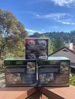Pokemon TCG 🟢 Perfect Order 🟢 Pokemon Center ETB x2 & Booster Box x1 Bundle - Image 3