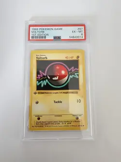 1999 Pokemon Base 1st Edition Voltorb 67/102 PSA 6 - FREE SHIP - Image 1