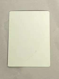 MTG Spectral Force Artist Proof and Signature Signed Scott - Image 2