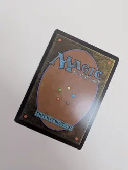 MTG - Forest 0195 - Teenage Mutant Ninja Turtles NM/M Condition - Image 3