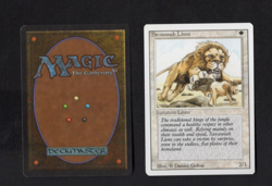 Savannah Lions Revised Edition Regular - Image 1