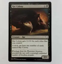 Rat Colony Dominaria Regular - Image 1