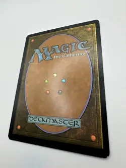 Historian's Boon (Extended Art) Commander: Dominaria United Regular - Image 5