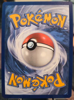 Pokemon Card Riolu 010 Black Star Promo - Near Mint - Image 2