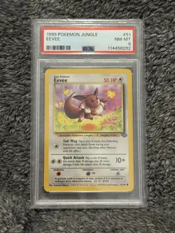 1999 Pokemon Jungle 1st Edition Eevee Card 51/64 PSA 8 - Image 1