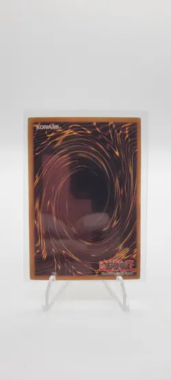 Yu-Gi-Oh! - 3X Wightprince - MAGO-EN124 - Gold Rare - 1st Ed - NM/M - NEW - Image 2