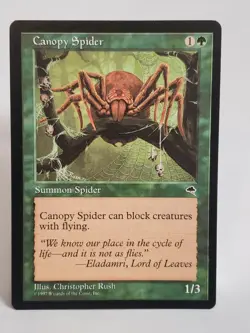 MTG Canopy Spider Tempest Regular Common Magic READ - Image 1