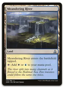 Meandering River #173 (NM) Oath of the Gatewatch OGW Magic MTG - Image 1