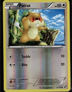 Patrat 77 Common Black and White 77/114 Colorless Reverse Holo Pokemon Card - Image 1