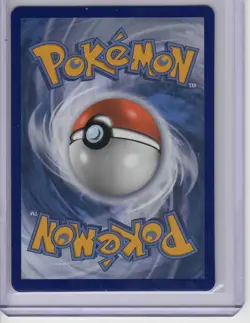 Light Play Pokemon TCG Chilling Reign Flannery Secret Rare 215/198 - Image 2