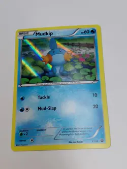 Mudkip XY38 - Black Star Promo - 2014 Hoenn Collection - Pokemon TCG - Image 1