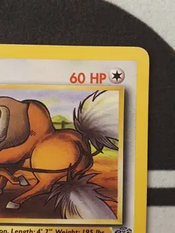 Pokemon Karte Tauros 47/64 Dschungel Set Jungle Pokemon NM - Image 5