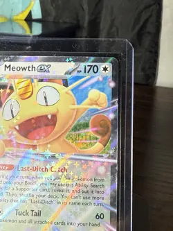 Pokemon TCG Perfect Order Meowth EX 062/088 Double Rare English Sleeve Topload - Image 5