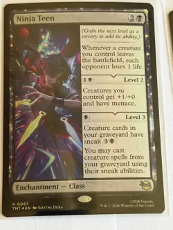 Ninja Teen Teenage Mutant Ninja Turtles Foil 67 - Image 1