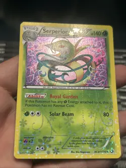 Pokemon TCG Serperior RC3/RC25 Legendary Treasures Radiant Collection Holo- MP - Image 2