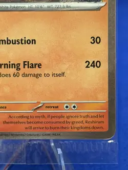 Reshiram 017/094 Phantasmal Flames Stamped Promo Sealed Pokemon Card NM - Image 4