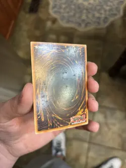 Yu-Gi-Oh TCG Dark Paladin Limited Edition Secret Rare #DMG-001 - Image 2