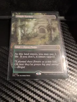 Temple Garden (Borderless) Lorwyn Eclipsed Regular - Image 1