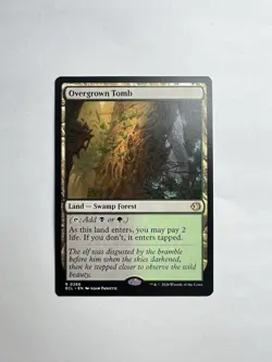 Overgrown Tomb - NM ECL Rare MTG [0266] - Image 1