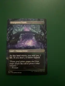 Overgrown Tomb (Borderless) Lorwyn Eclipsed Regular - Image 2