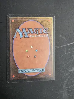 MTG Magic the Gathering Royal Assassin Revised - Image 2