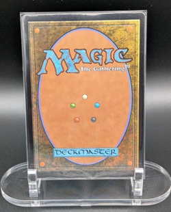 Misty Rainforest - R 250 - Modern Horizons 2 (MH2) -Reg. MTG NM Free Bubble Ship - Image 2