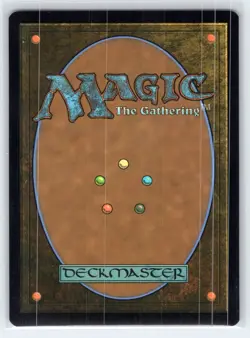 MTG NM Forest (0205) 205 L Universes Beyond: Doctor Who - Image 2