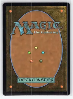 MTG NM Forest (0204) 204 L Universes Beyond: Doctor Who - Image 2