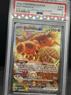 2024 POKEMON DACHSBUN EX SIR SCR EN-STELLAR CROWN 169/142 PSA 9 - Image 2